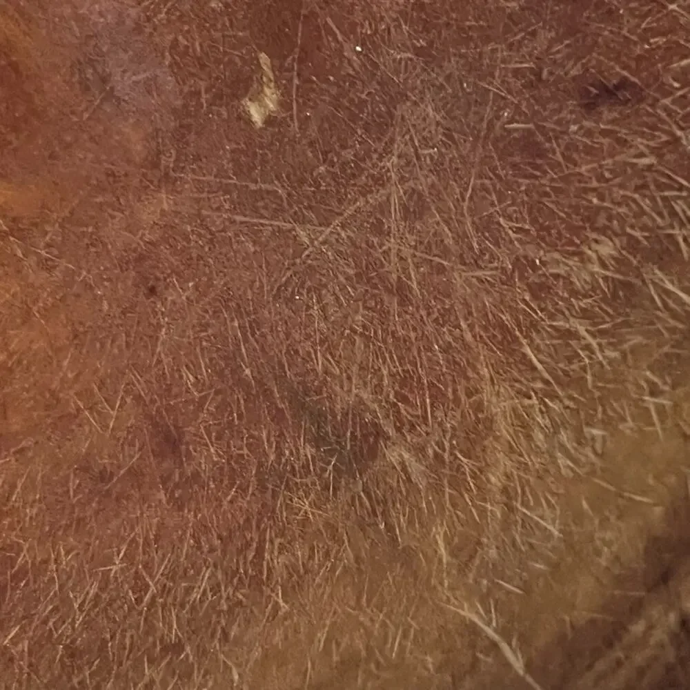 Primitive Hand Turned Wooden Bowl 10
